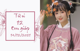 12 con giáp 14/12: Mùi có cơ hội tăng lương, Tuất đừng tin bạn mù quáng