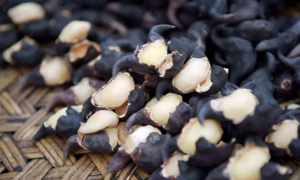 Loại củ đen sì, nhọn hoắt nhưng bóc ra trắng muốt, ngọt bùi ăn mãi không chán