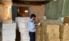 Gia Lai: Phát hiện 1.600 lít thuốc bảo vệ thực vật chứa hoạt chất cấm