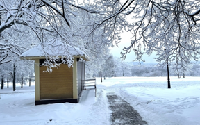 Cảnh diễm lệ của mùa đông nước Nga: Moskva khoác áo choàng tuyết