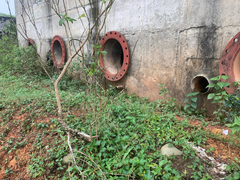 Cận cảnh nhà máy nước 30 tỷ đồng bỏ hoang thành nơi nuôi bò suốt nửa thập kỷ