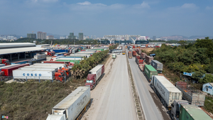 Vạ vật chờ xuất hàng ở cửa khẩu Móng Cái: Mất tiền triệu mỗi ngày