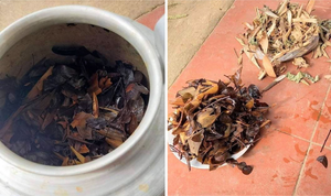 Cứu bé sơ sinh suy đa tạng do uống thuốc nam điều trị viêm da