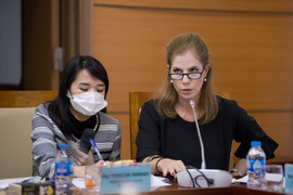 Đại diện UNESCO: 'Trong đại dịch COVID-19, bạo lực với phụ nữ tăng cao'