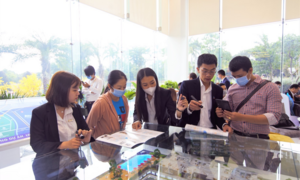 Phân khúc căn hộ nào dẫn dắt thị trường?