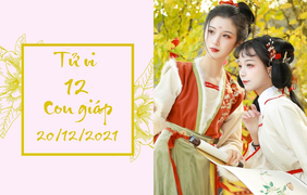 12 con giáp 20/12: Dần được lòng lãnh đạo, Ngọ tình duyên hẩm hiu