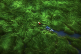 10 bức ảnh đẹp như mơ của tác giả Việt giành giải quốc tế năm 2021