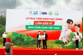 OMO trao tặng 40.000 banh hạt giống cho rừng phòng hộ Việt Nam