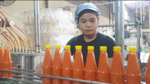 Công nhân thời vụ được hỗ trợ 50% tham gia BHXH tự nguyện