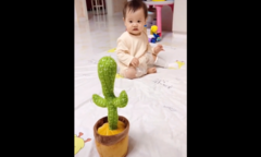 Em bé bò lồm cồm để trốn chậu cây biết nói