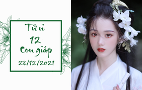 12 con giáp ngày 23/12: Mão kiếm tiền dễ dàng, Tuất gặp vận đào hoa xấu