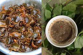 Mắm đam - món ăn lạ mà quen, ai về miền Trung nhất định phải thử một lần