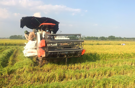 HTX Nông nghiệp ở Thủ đô: Giải pháp đồng bộ cho bài toán quỹ đất, giảm khó khăn