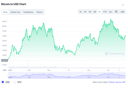 Chuyên gia: 'Vẫn trồi sụt nhưng Bitcoin có thể lập đỉnh mới năm 2022'