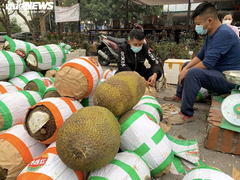 Mít bị tắc ở cửa khẩu quay về bán đổ đống tại Hà Nội, giá 10.000 đồng/kg