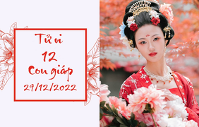 12 con giáp 29/12: Ngọ tiền thưởng rủng rỉnh, Dần được quý nhân nâng đỡ