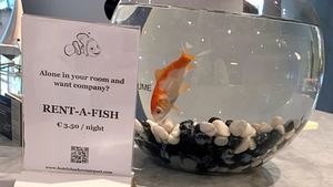 Khách sạn nảy sinh ý tưởng cho thuê ‘người bầu bạn’ độc đáo dành cho ai cô đơn