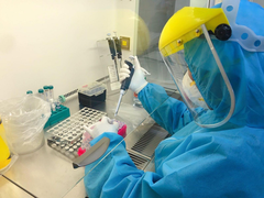 Kết quả giải trình tự gene 22 ca nghi nhiễm Omicron ở Hà Nội 