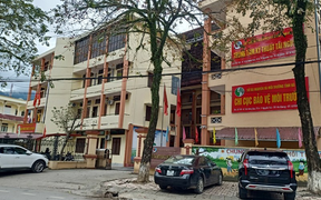 Hà Giang kỷ luật cựu giám đốc Sở Tài nguyên và Môi trường 