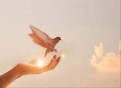 Chia tay năm 2021 nhiều mất mát, đầy ân tình