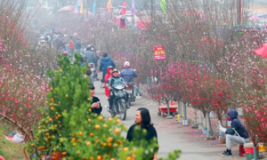 Thời tiết tháng giáp Tết Nguyên đán 2022 thế nào?