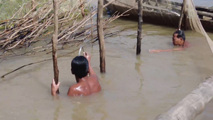 Video: Nông dân ngâm mình dỡ chà bắt cá ở miền Tây