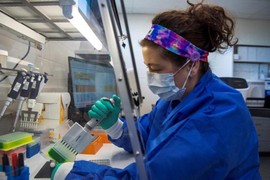 Nghiên cứu hé lộ tác động của biến thể Omicron tới phổi