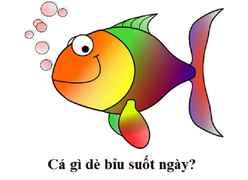 Cá gì dè bỉu suốt ngày?