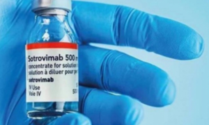 Australia mua thêm thuốc COVID-19, Nhật Bản phát triển vaccine ngừa bệnh cả đời