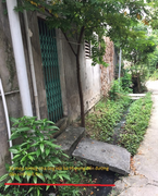 Vụ tranh chấp đất đai ở Cao Bằng: Vì sao thẩm phán hai cấp bị khiếu nại?