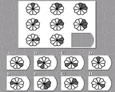 10 giây, thách bạn tìm ra hình phù hợp để ghép vào chỗ trống