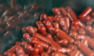 Cơ quan y tế Ấn Độ nêu 'lo ngại lớn' về thuốc trị COVID của Merck 