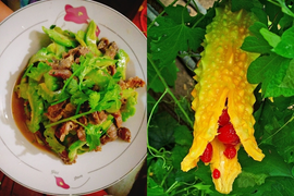 Đã quen ăn khổ qua xanh, bạn có biết hột quả này khi chín có vị ngọt và ngon?