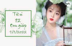 12 con giáp 9/1: Sửu đầu tư mù quáng, Tỵ quý nhân giúp đỡ