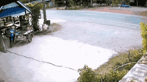 Video: Xe tải lao như tên bắn, người phụ nữ thoát chết trong gang tấc