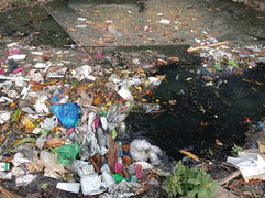 Túi nilon dùng 1 lần - tiện dụng cao đi kèm ô nhiễm lớn