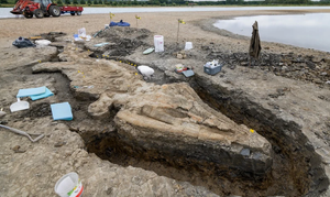 Phát hiện hóa thạch 'rồng biển' dài 10 m, riêng hộp sọ nặng 1 tấn