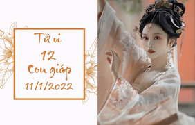 12 con giáp 11/1: Dậu đầu tư sai hướng, Hợi tích lũy nhiều tiền