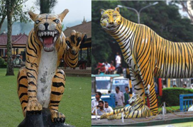 Mừng năm Nhâm Dần, cười xỉu với 1001 phiên bản chúa sơn lâm 'bị lỗi' ám ảnh MXH