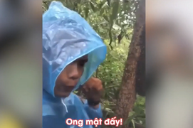 Chọc phải tổ ong, chàng trai chạy thục mạng