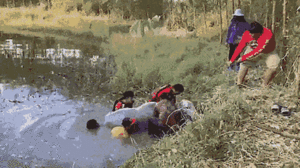 Video: Giải cứu con bò nặng 450 kg rơi xuống ao