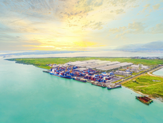 Thilogi phát triển dịch vụ logistics xuất khẩu nông sản với sản lượng lớn