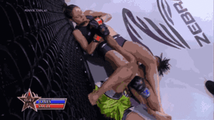 Video: Nữ võ tung đòn bẻ tay khiến đối thủ đau đớn nhận thua