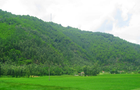 Tập đoàn Everland tài trợ lập quy hoạch 1/200 dự án 452 héc-ta tại Thanh Hóa