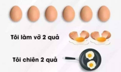 Câu đố quả trứng 'hại não', 90% người trả lời sai