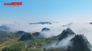 Video: 'Săn mây' trên cao nguyên Mộc Châu dịp cuối năm
