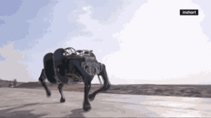 Video: Robot 'bò máy' di chuyển trên mọi địa hình ở Trung Quốc