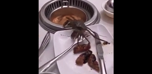 Cua tự đi vào nồi lẩu khi bỏ trốn