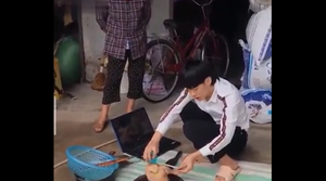 Học chặt gà online, chàng trai làm vỡ cả đĩa