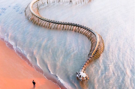 ‘Bộ xương rắn khổng lồ’ trồi lên giữa bờ biển thu hút du khách đến check-in 